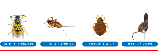 Pestforce Crawley